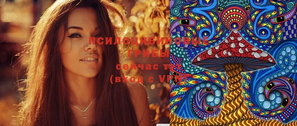 apvp Осташков