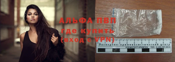 хмурый Пестово