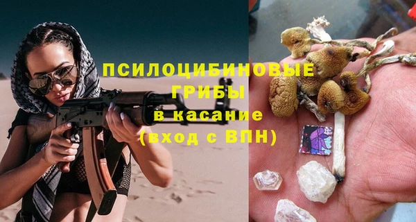 apvp Осташков