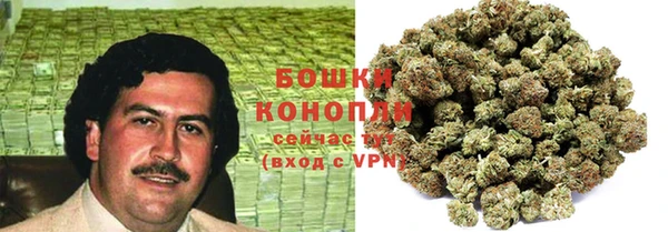 apvp Осташков