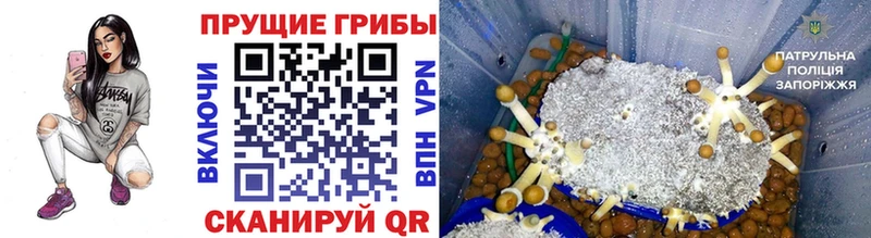 blacksprut   Кодинск  Галлюциногенные грибы Magic Shrooms 