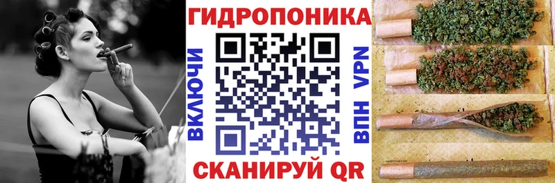 Бошки марихуана OG Kush мега маркетплейс Кодинск